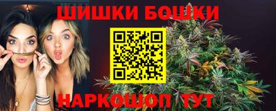 гашик Кандалакша