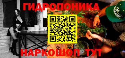 гашик Кандалакша