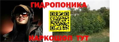 гашик Кандалакша