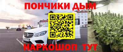 spice Камышлов