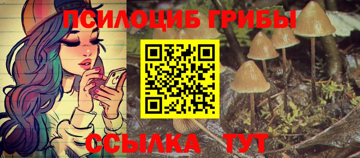Бузулук  Псилоцибиновые грибы прущие грибы  Вход с VPN 